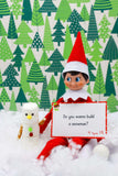 Elf on the Shelf Notes